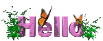 hello.gif (20501 bytes)